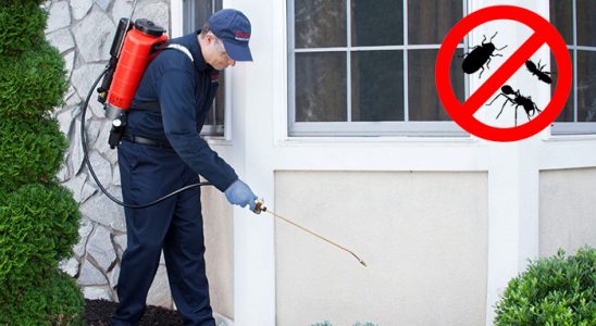 Doğanşar Tahtakurusu İlaçlama böcek ilaçlama ve haşere kontrolü — ilaclama-tr.com